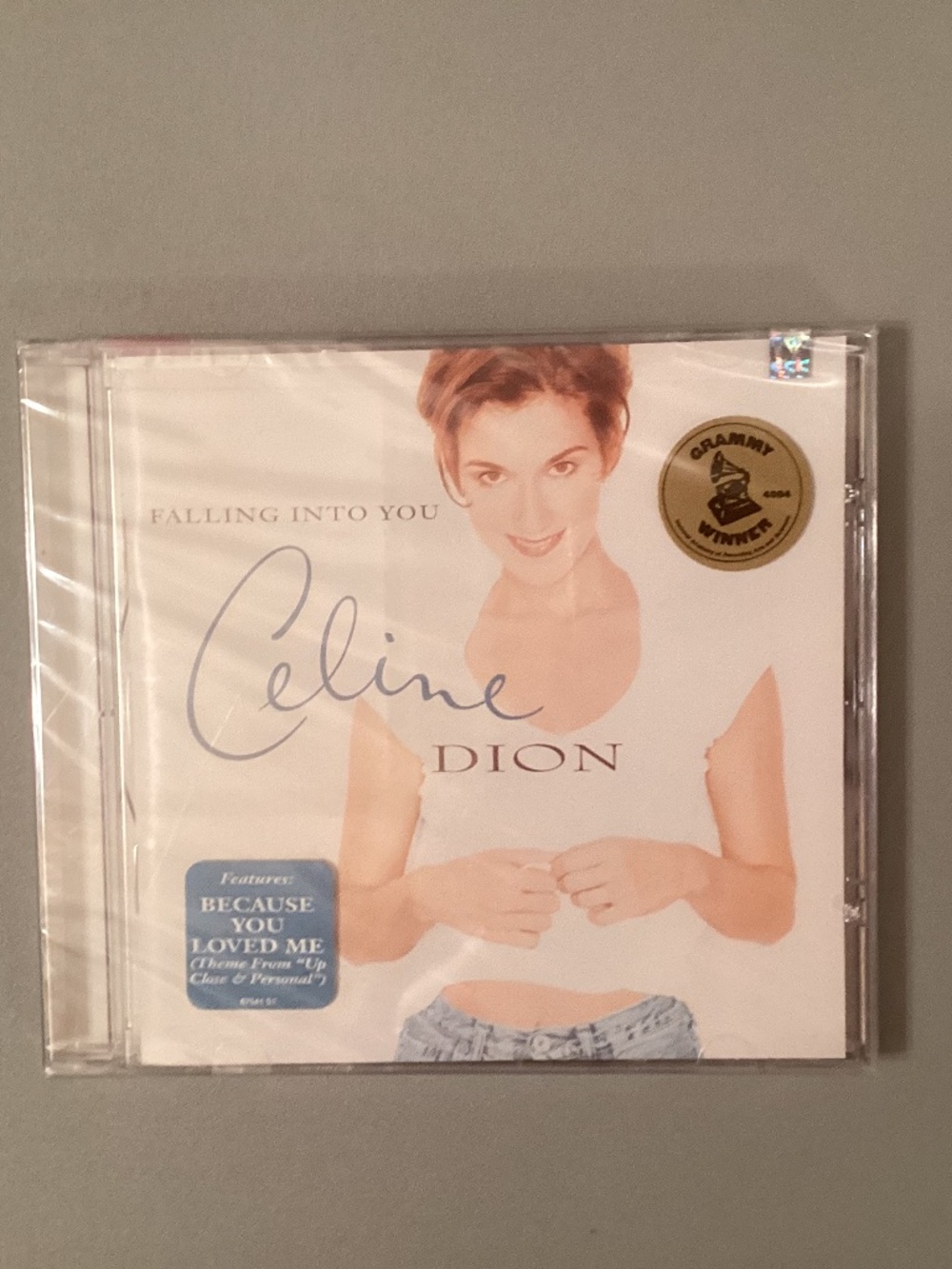 Falling Into You Celine Dion CD